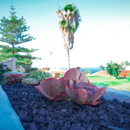Casa Las Margaritas, Bungalow En El Toscal. Διαμέρισμα